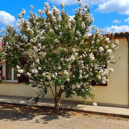 San Giuseppe Apartment