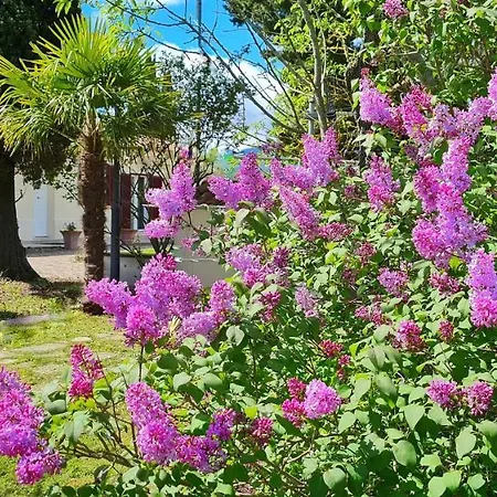 Apartment San Giuseppe *
